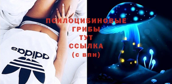 Альфа ПВП Баксан