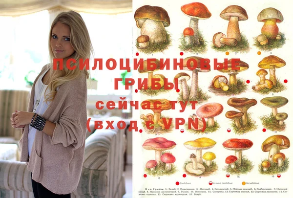 мяу мяу мука Балахна